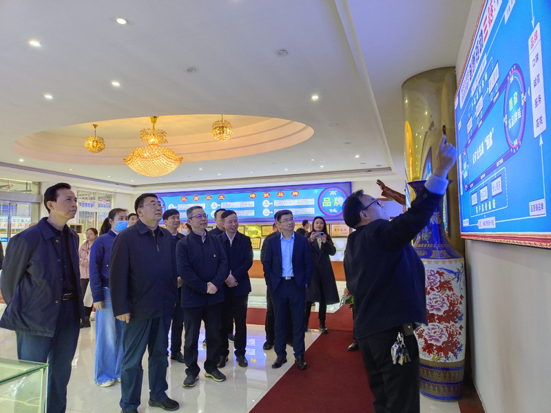 湖南省工信廳副廳長(zhǎng)張治平一行蒞臨我司視察工作